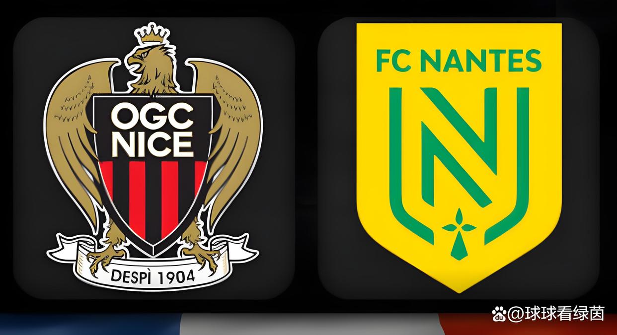 关于尼斯客场失利,法甲保级前景蒙上阴影的信息 关于尼斯客场失利,法甲保级前景蒙上阴影的信息