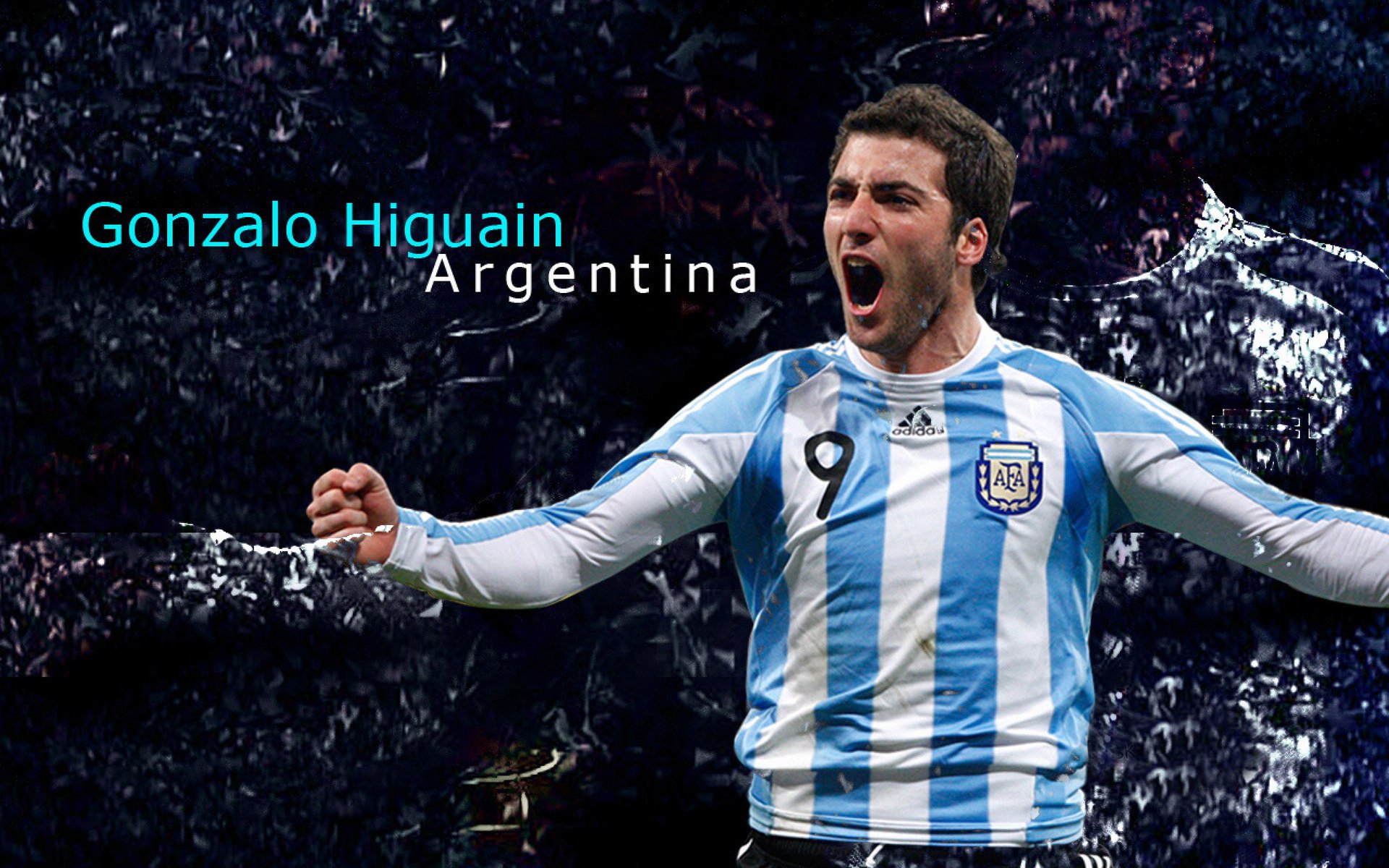 库尔图瓦的沉默审判,厄瓜多尔与荷兰之战中的关键节点