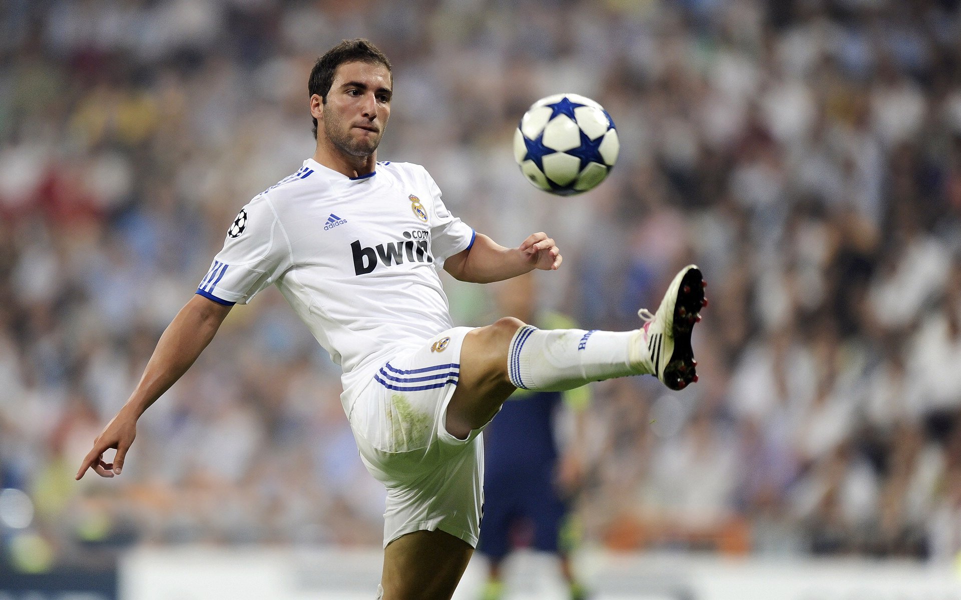 绿茵场与羽毛球场上的双重统治,德国铁血横扫丹麦,陈雨菲优雅掌控全场